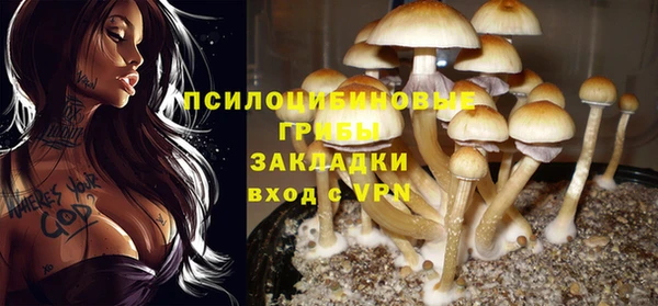 apvp Арсеньев