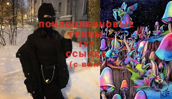 герыч Елабуга