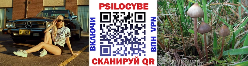 Галлюциногенные грибы Psilocybine cubensis  кракен зеркало  Свирск 